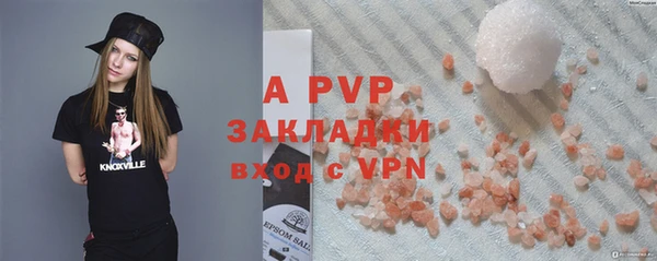 ПСИЛОЦИБИНОВЫЕ ГРИБЫ Гусев
