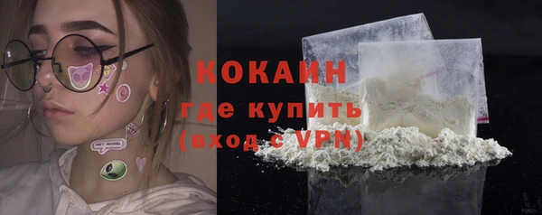 ПСИЛОЦИБИНОВЫЕ ГРИБЫ Гусев
