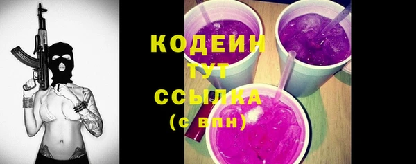 мяу мяу мука Гусь-Хрустальный