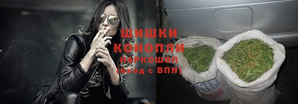 ПСИЛОЦИБИНОВЫЕ ГРИБЫ Гусев