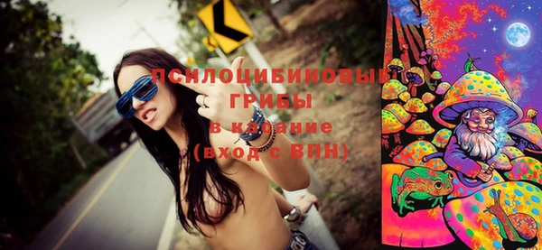 ПСИЛОЦИБИНОВЫЕ ГРИБЫ Гусев