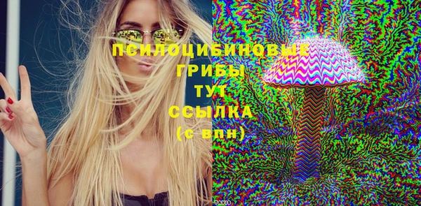 мяу мяу мука Гусь-Хрустальный