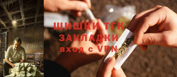 ПСИЛОЦИБИНОВЫЕ ГРИБЫ Гусев