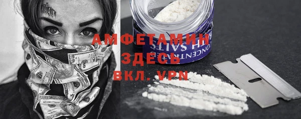 ПСИЛОЦИБИНОВЫЕ ГРИБЫ Гусев