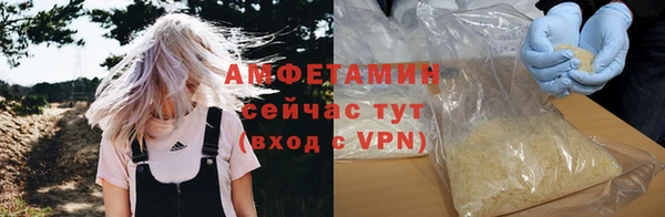 ПСИЛОЦИБИНОВЫЕ ГРИБЫ Гусев