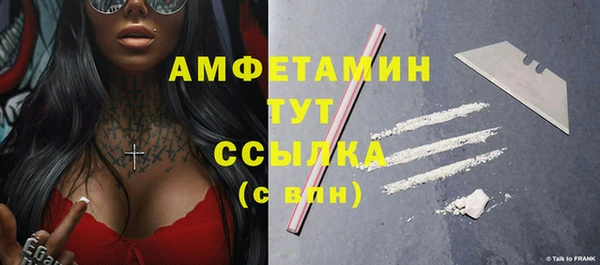 ПСИЛОЦИБИНОВЫЕ ГРИБЫ Гусев