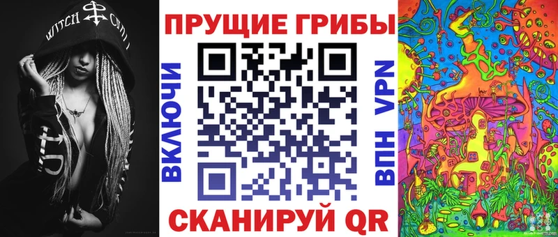 Купить  Злынка  Галлюциногенные грибы Psilocybe 